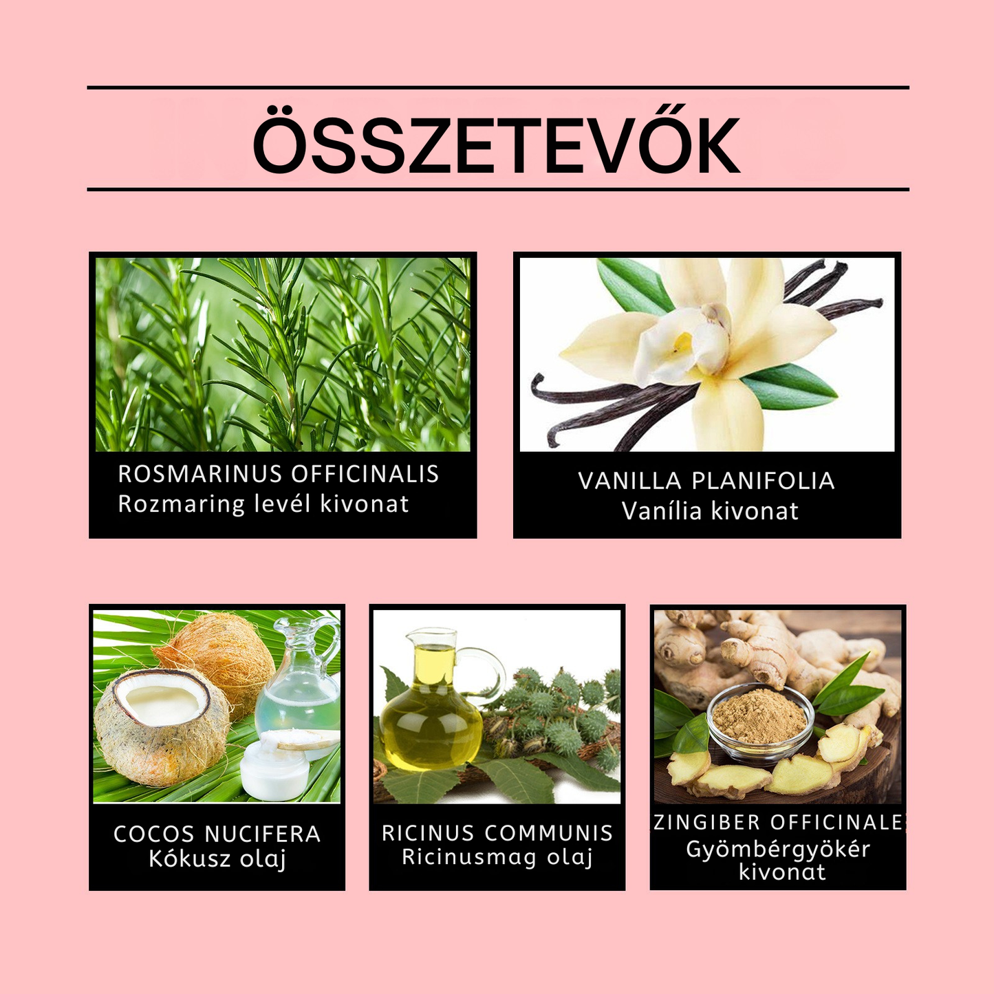 Rozmaring szilárd sampon 100g